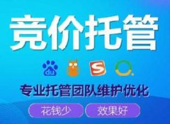 專業(yè)競價(jià)托管外包
